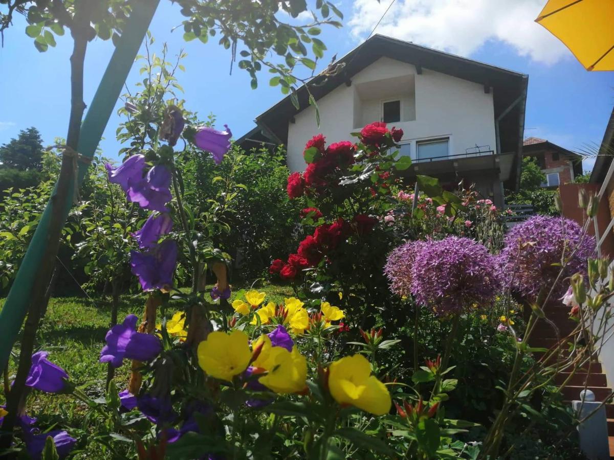 Smjestaj Bahat Varazdinske Toplice Exterior foto