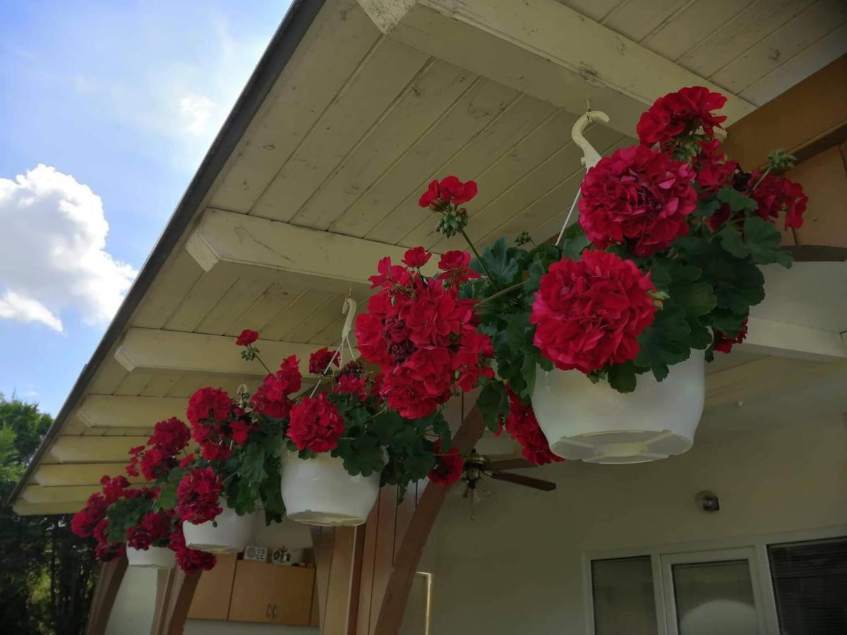 Smjestaj Bahat Varazdinske Toplice Exterior foto